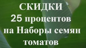 СКИДКИ на СЕМЕНА! Наборы семян томатов! Часть 2. т. 89229284031