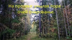 Последний день в лесу в 2025 году.