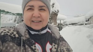 Как встретили новый год