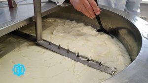 Нарезка сырного зерна