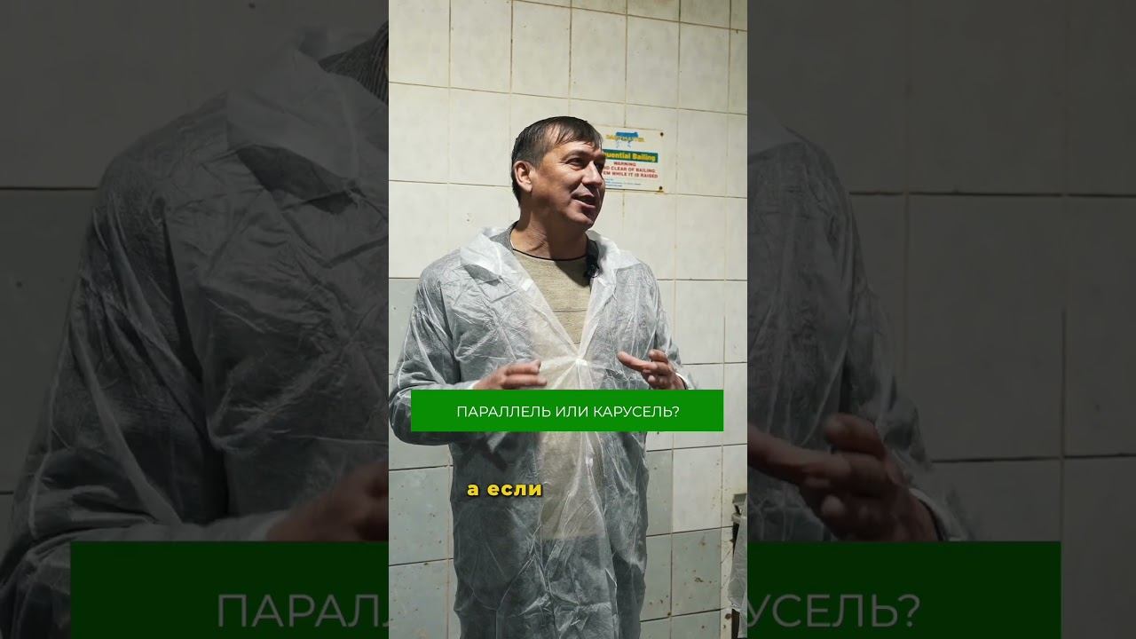 Как производят молоко на ферме? Рассказали в полном выпуске на канале! #ферма #молоко #коровы смотреть онлайн