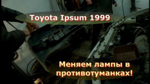 Меняем лампочки в противотуманках Toyota Ipsum 1999 года своими руками!