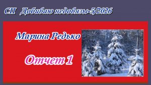 СП "Добиваю недовязы-5/2026" / Отчет 1