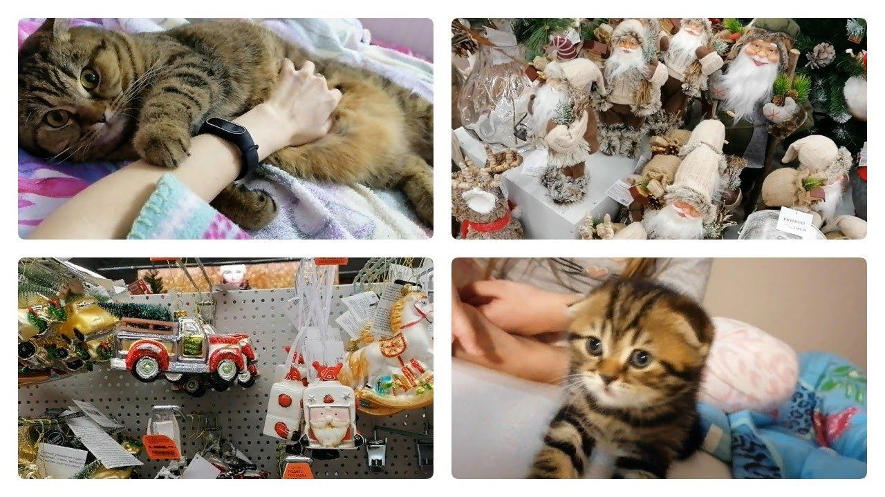 СНОВА МАМА!!!! Влог за наше отсутствие. Что нового? смотреть онлайн