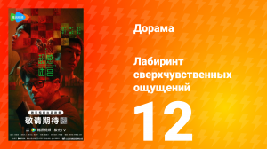 Лабиринт сверхчувственных ощущений 12 серия