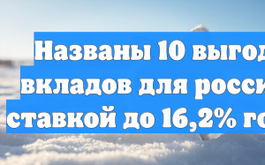 Названы 10 выгодных вкладов для россиян со ставкой до 16,2% годовых