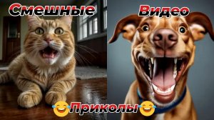 Смешные видео приколы|Коты и собаки|Юмор и Приколы