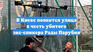 В Киеве появится улица в честь убитого экс-спикера Рады Парубия