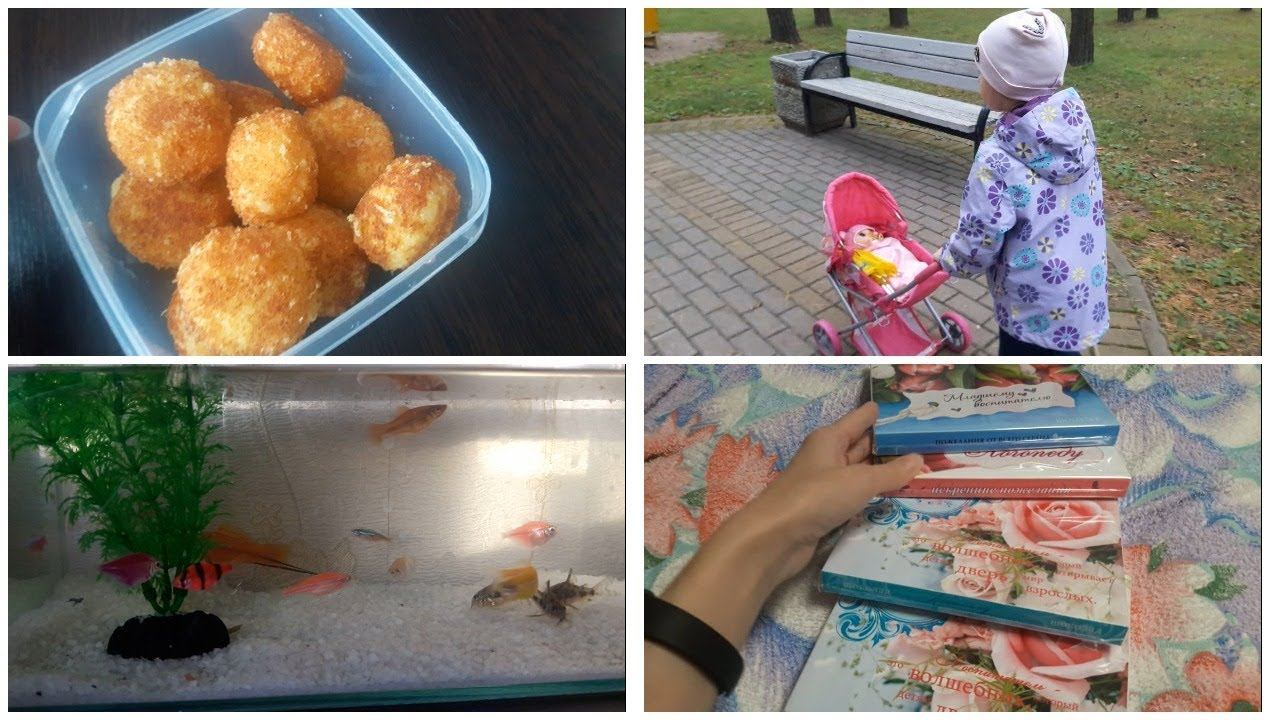 Vlog. Гуляем\ Пополнение\ Сырные шарики смотреть онлайн