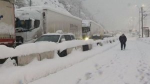 SHOT: на пограничном переходе между РФ и Грузией образовалась пробка