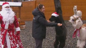 В парке "Ривьера" в Сочи проходят новогодние гуляния