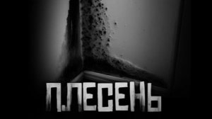 Плесень.Страшные истории на ночь