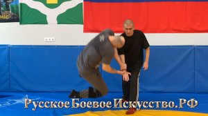 R297 = ВОЛНА, УПРАВЛЯЕМ КОЛЕБАНИЯМИ.