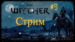 The Witcher. Прохождение игры на все 100 %. Часть 9