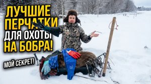 Какие перчатки выбрать для охоты на бобра?