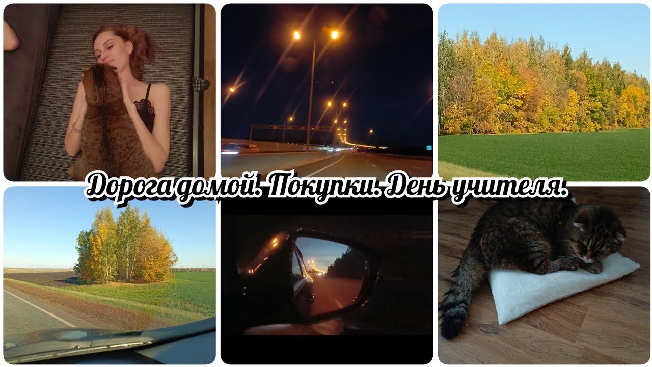 Дорога домой  Покупки День учителя смотреть онлайн