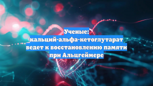 Ученые: кальций-альфа-кетоглутарат ведет к восстановлению памяти при Альцгеймере