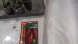 02.01.2026 Планы на сегодня + покупки для огорода.