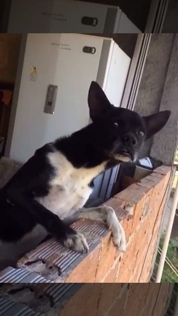 Такой концовки я и сам не ожидал (128) смотреть онлайн