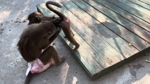 Влад РАССТРОИЛСЯ совсем из-за поведения Люси и Степа пришел утешить папу,ведь Люська его игнорит