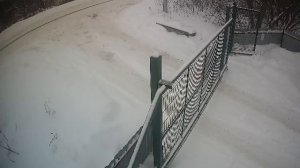 LIVE: channel74055310