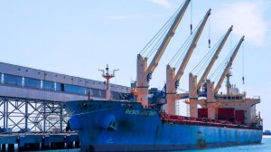 Торговый порт Махачкалы стал лидером по перевалке грузов среди портов Каспия