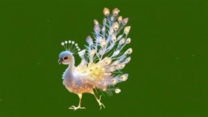 сказочная птичка