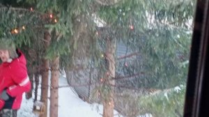 доброе утро зоопарк