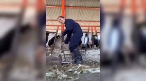 Смешные коты 2026 😸 Кошки😸 Животные😸Собаки🐺 Смешное видео!😸Лучшие приколы с кошками