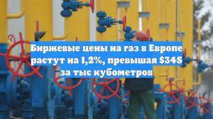 Биржевые цены на газ в Европе растут на 1,2%, превышая $345 за тыс кубометров