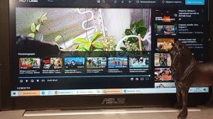 ПРОСТО ПРАВДА//лошади шляйх//смотреть всем фанатам шс// Karmen studio//