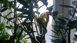 Одиночество