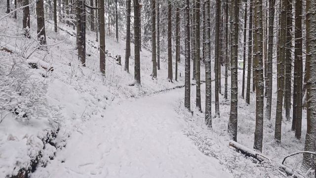 Еловые Холмы