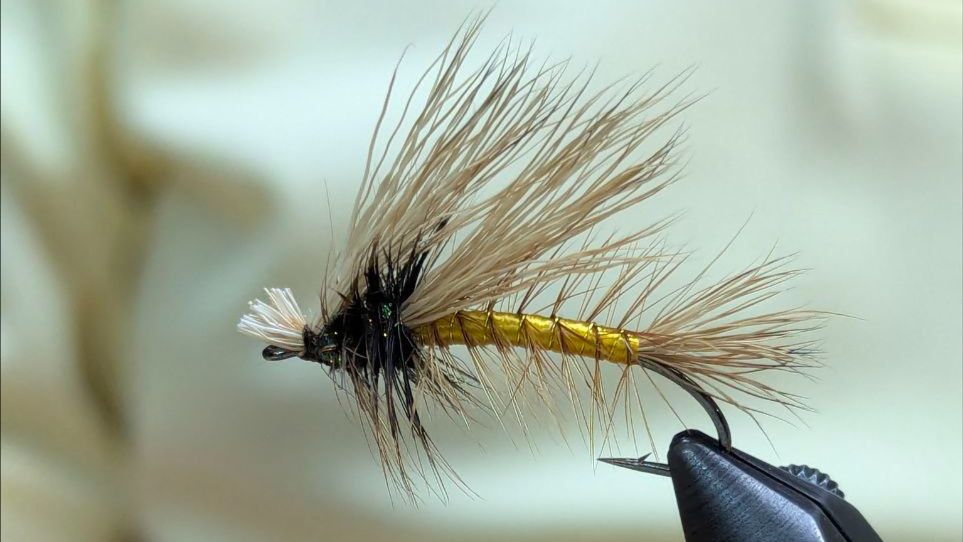 Stimulator Variant Double Wing