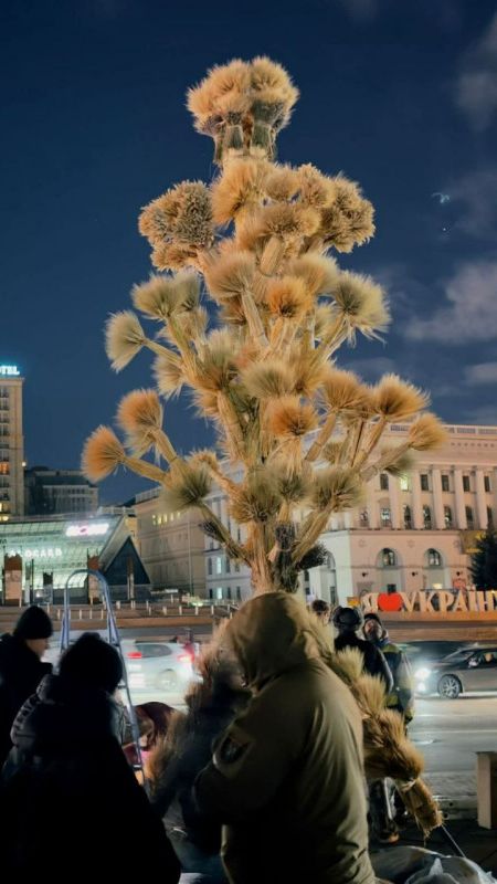 2025. ЯЗЫЧЕСТВО УКРАИНЫ. ДИДУХ ВМЕСТО ЕЛИ РОЖДСТВА. ДИКО. МНЕНИЕ А.РОЖИНЦЕВА