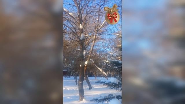 Счастливого дня #2026 смотреть онлайн