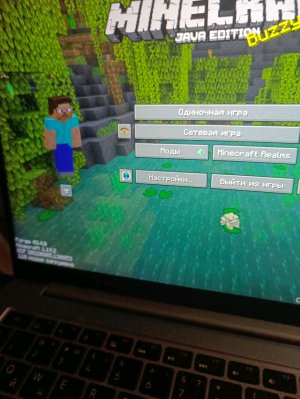 майнкрафт играем