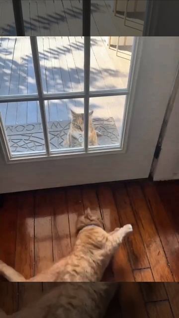 Хватит кривляться, открой дверь смотреть онлайн