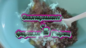 Эксперименты с фаршем ПП