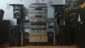 Д. Гурцкая .хиты миллениума