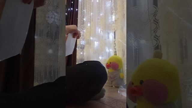 1000003368.mp4 смотреть онлайн