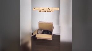 Видео от МЭН - Мне Это Нравится