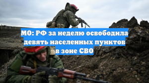 Армия России освободила девять населённых пунктов в зоне СВО за неделю