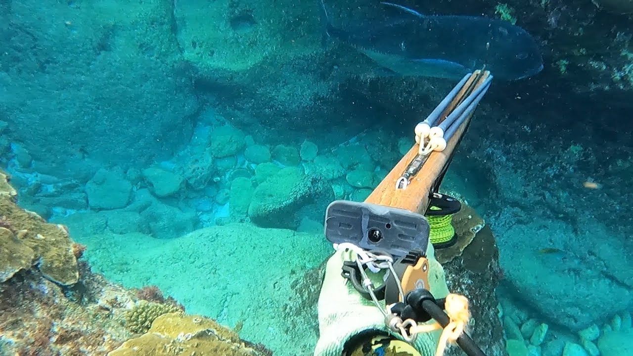 Подводная охота / Поистине незабываемое приключение! / Я встретил гигантского тревалли. смотреть онлайн