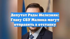 Депутат Рады Железняк: Главу СБУ Малюка могут отправить в отставку