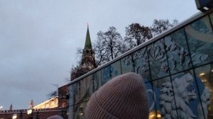 Вход в Кремль на ёлку.🌲Быстро прошли.
