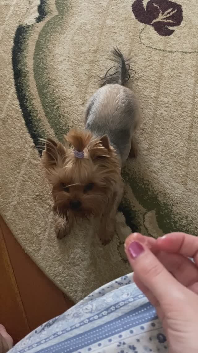 IMG_5168 смотреть онлайн