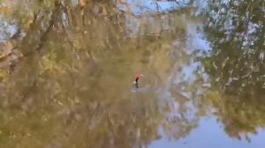 Конкурс на самого лучшего Рыболова.