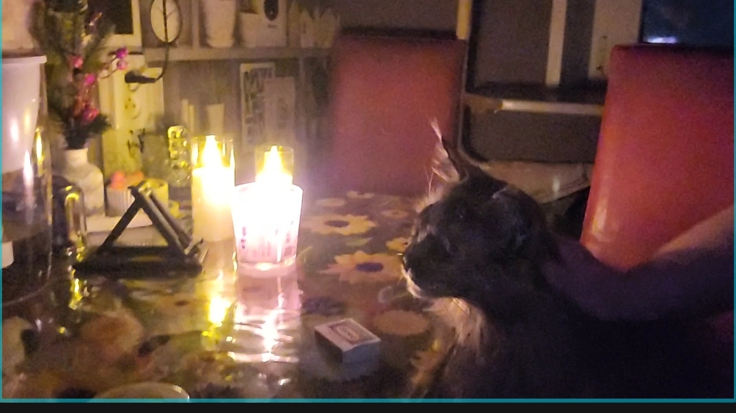 Влог за два дня/Где я работала. смотреть онлайн