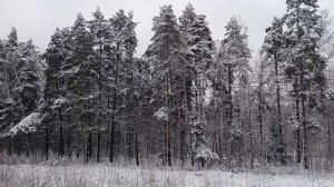 Полустанок...